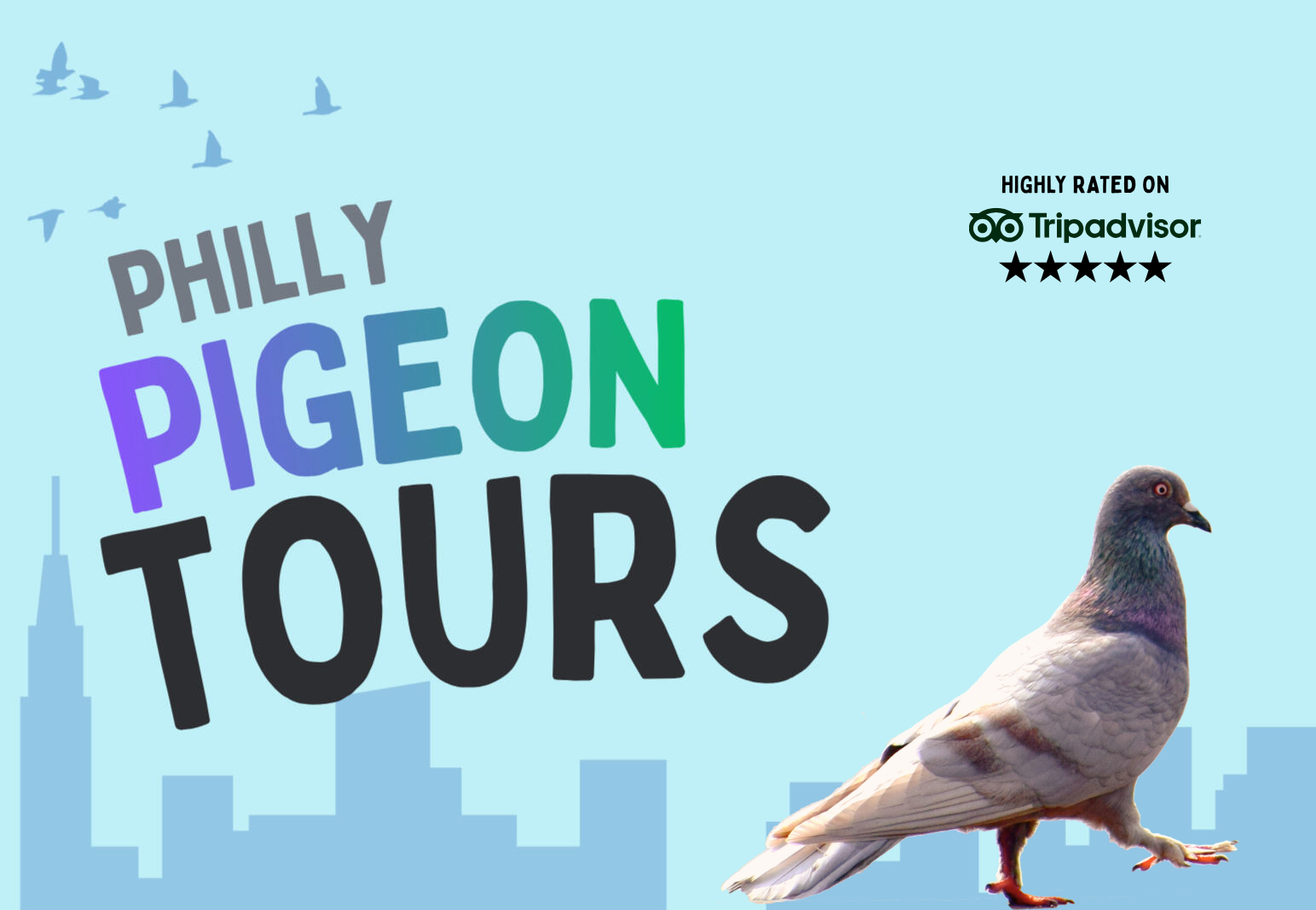 Silhouette of pigeons flying above a city, with the large text "Pigeon Tours"